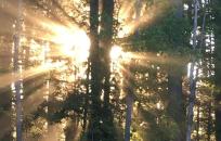 Here comes the sun.