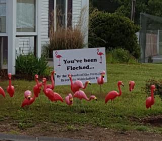 Flocked by the FoHRA