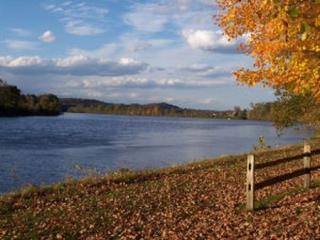 lake and fall leaves