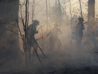 Brush Fire 2022