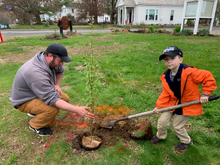 Planting